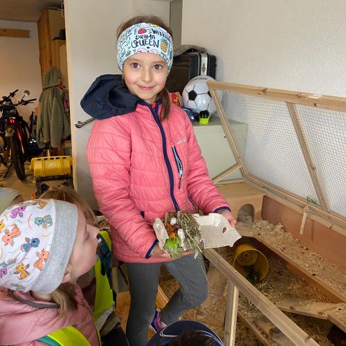 Bild