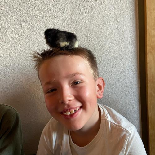 Kükenprojekt