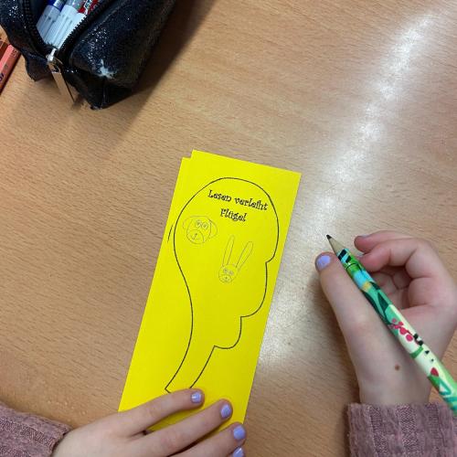 Bild