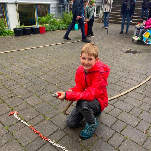 Bild